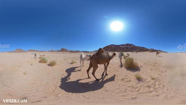 【360° VR】阿尔及利亚撒哈拉沙漠。 5K航拍360度视频