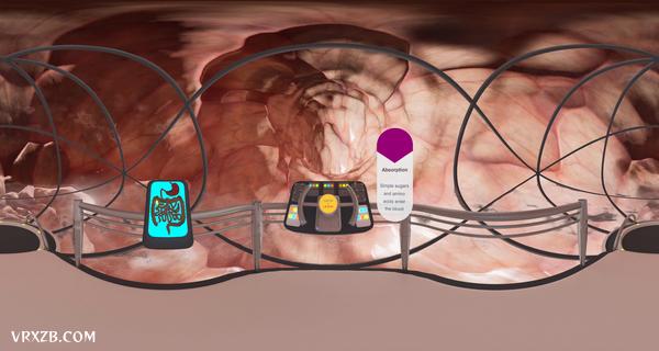 【360° VR】食物在人体的消化过程