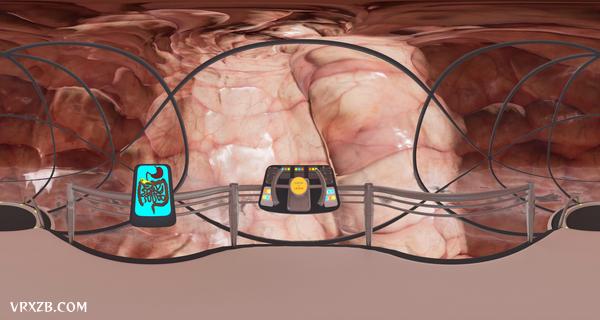 【360° VR】食物在人体的消化过程
