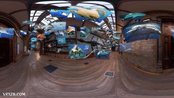 【360° VR】伦敦博物馆复活拉玛劳龙