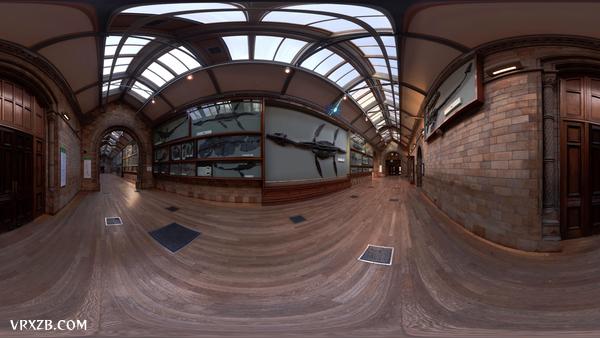 【360° VR】伦敦博物馆复活拉玛劳龙