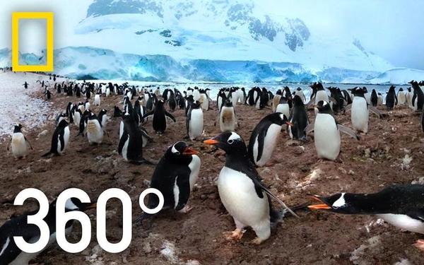 【360° VR】出发去南极